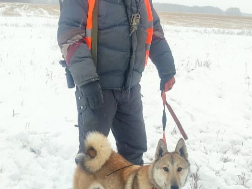 Liss &amp; Лисса