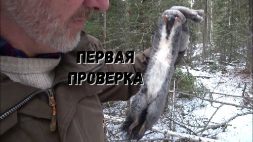 ПЕРВАЯ ПРОВЕРКА