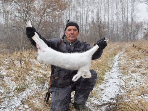 Трудовой зайка)))