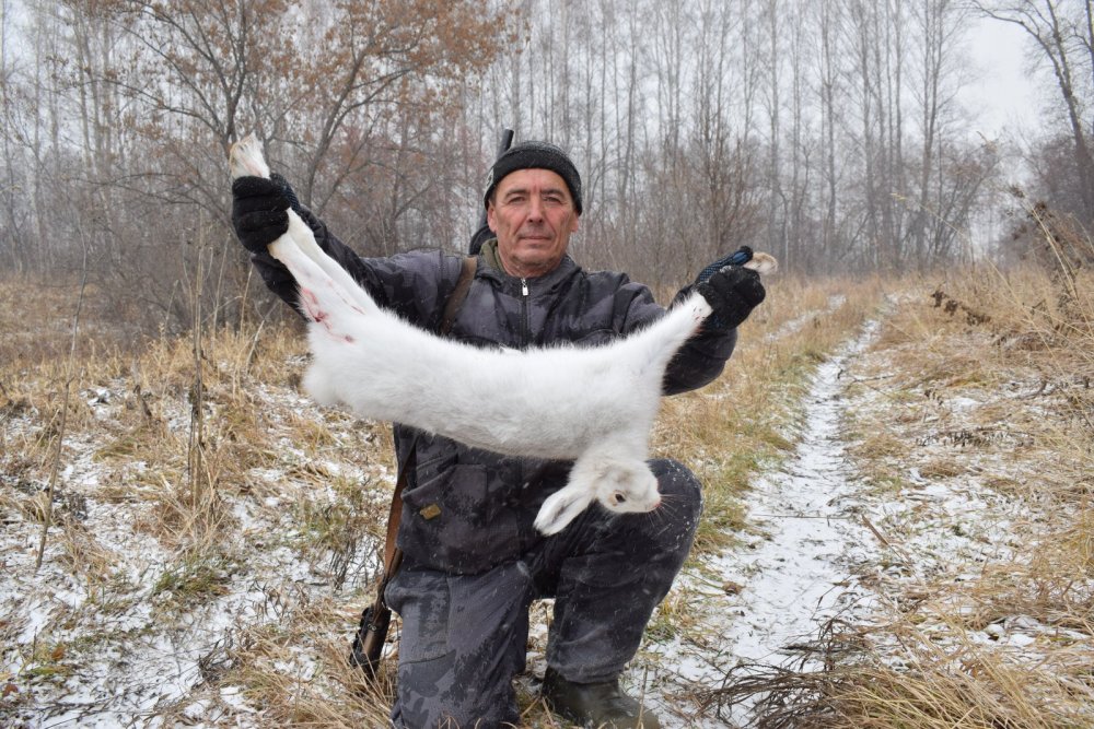 Трудовой зайка)))