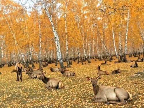 загорают