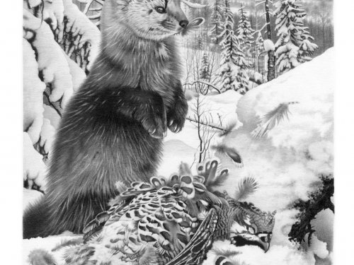 Рисунок
