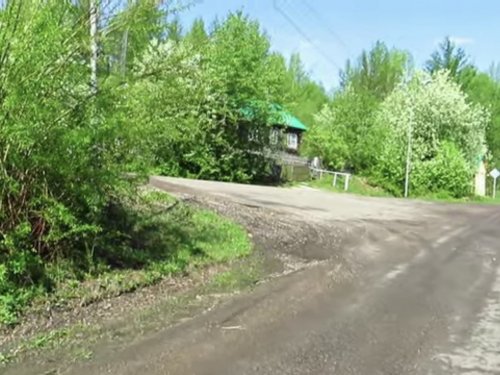 В краю непуганых топтыгиных.