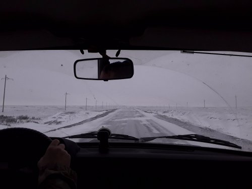 Открытие на зайца 2022