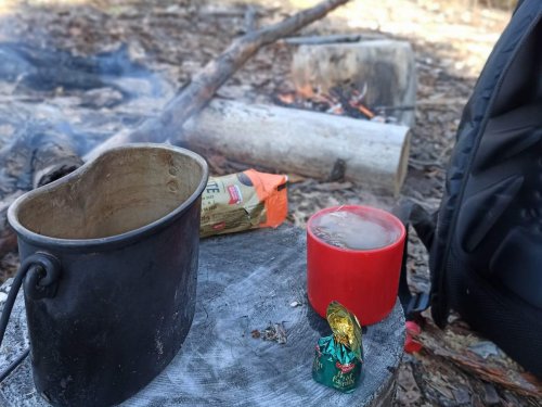 Мой первый большой птЫц