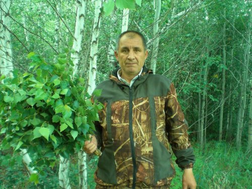 заготовка веников