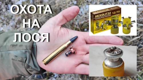 Охота на ЛОСЯ. Новичкам везет, если целится....