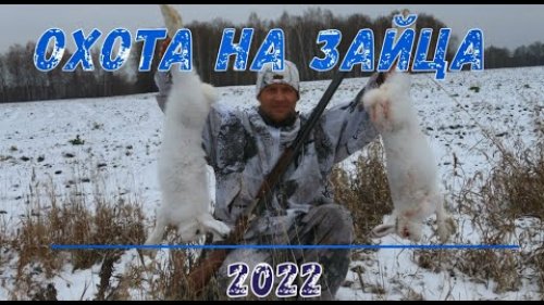 Охота на зайца! Открытие сезона 2022!