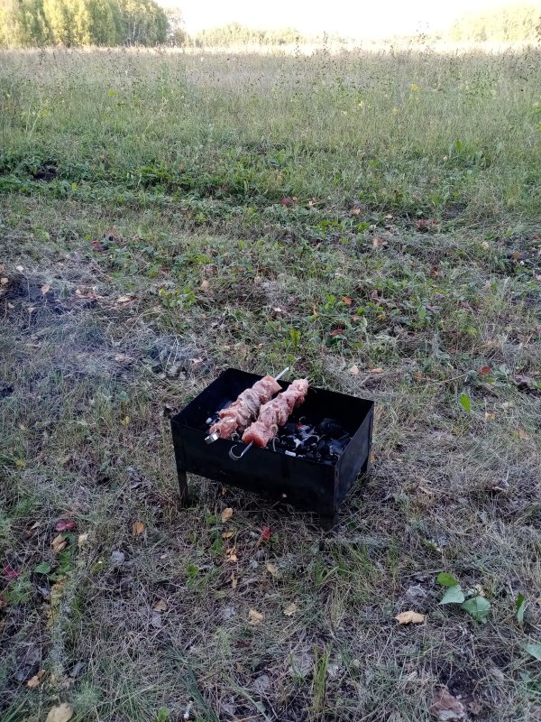 Шашлык на одного