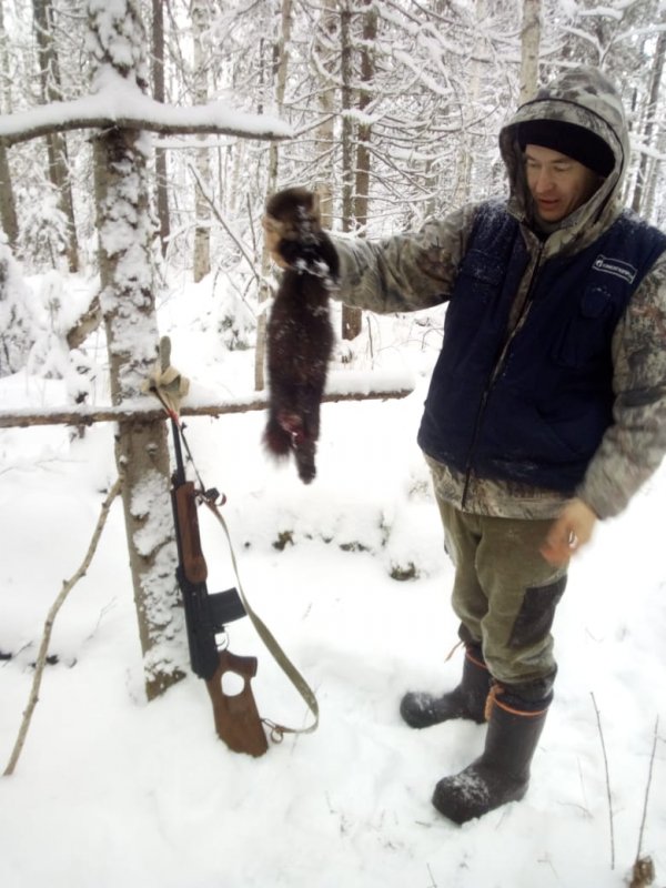 С соболем