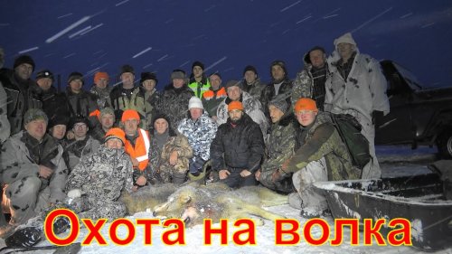 Охота на волка #3 Вожегодский район