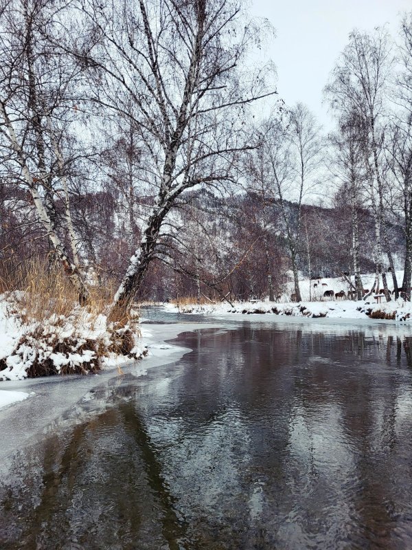 Осенне-зимний брод