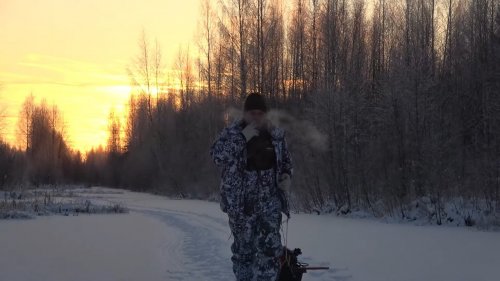 Охота на бобра #17.2 castor fiber Проверка капканов