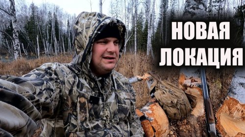 Охота на бобра новое место дислоцирования