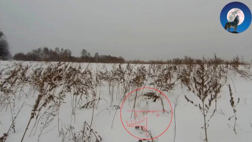 СУПЕРЭКСПРЕСС ОХОТА НА ЗАЙЦА