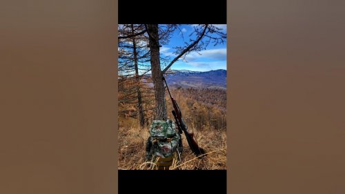Природа Алтайского края