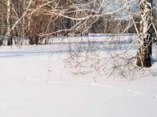 Поживи, до новых встреч