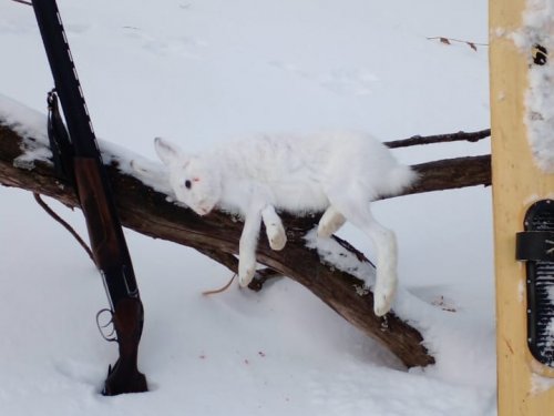 Предновогодний