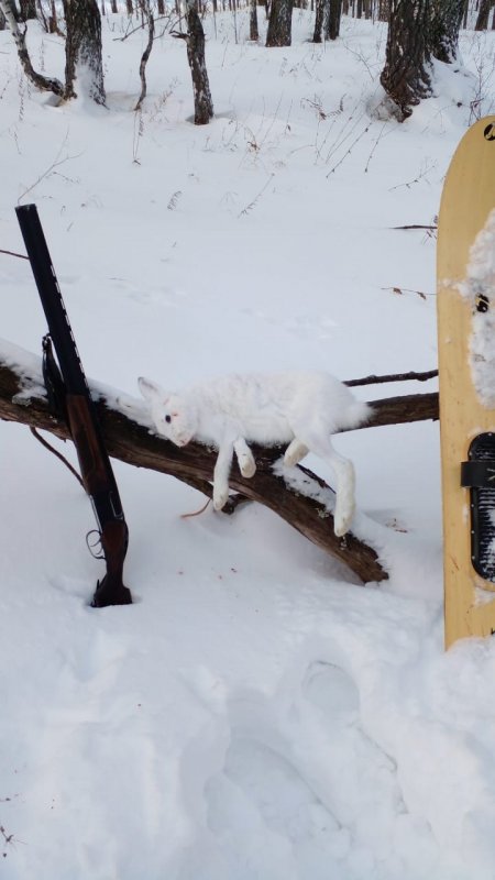 Предновогодний