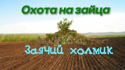 Охота на зайца. Заячий холмик.