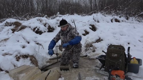 Охота на бобра #16.1 castor fiber Установка капканов