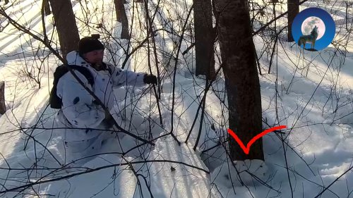 До последнего не верил что заяц в норе а зря!