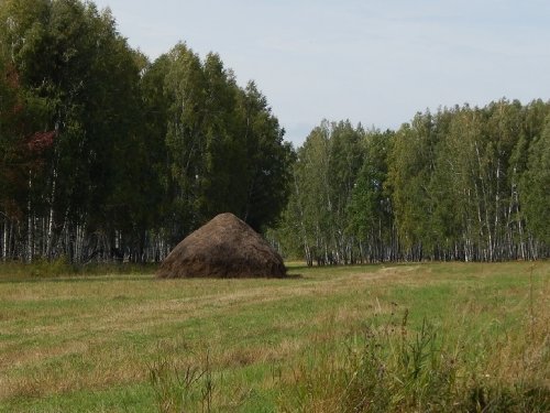 К истокам жизни..