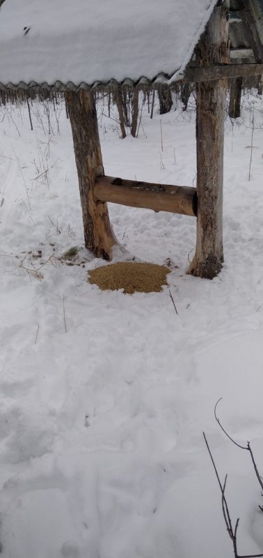 Развезли зерно