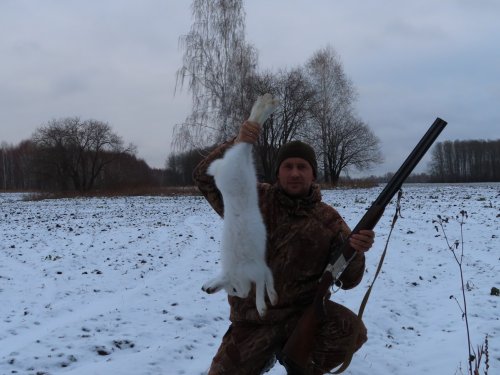 Хитрый беляк