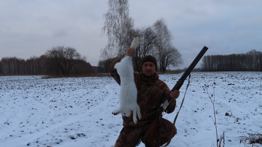 Хитрый беляк