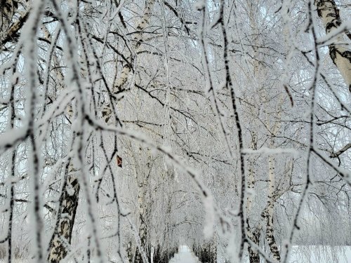 Сибирские пейзажи