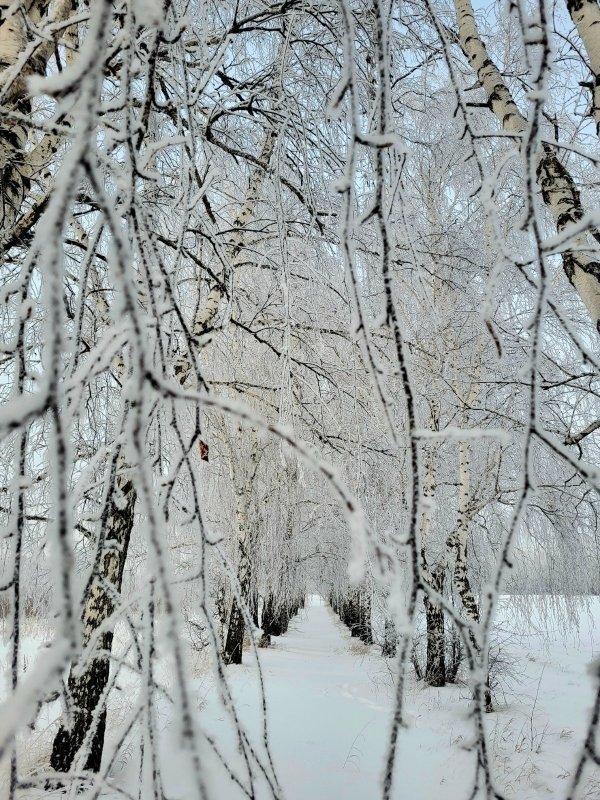 Сибирские пейзажи