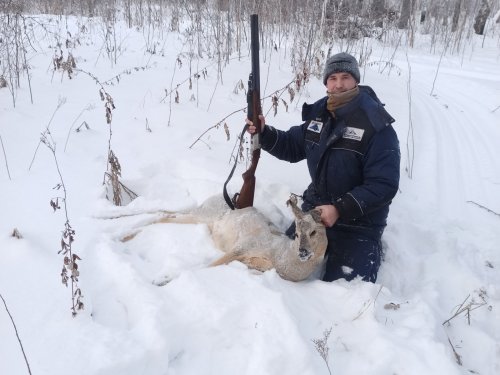 Лицензия освоена.