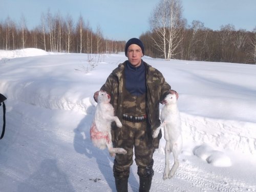 Погоняли косых