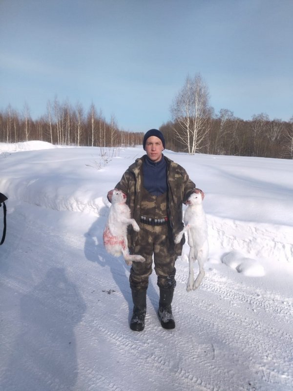 Погоняли косых