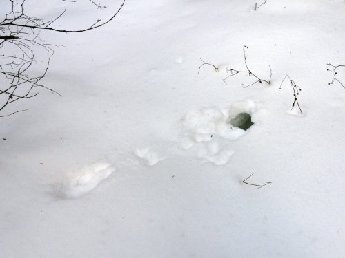Ночлег