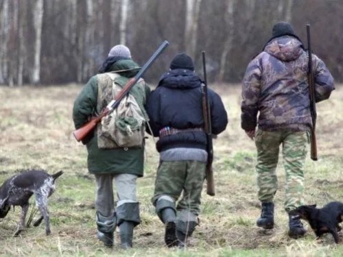 Гражданам разрешат ходить на охоту с чужими ружьями
