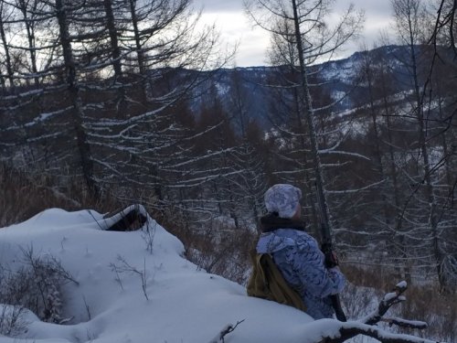 На номере