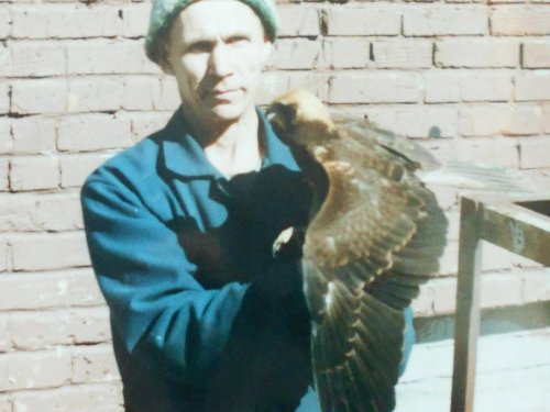 Воспитал ( коршик)