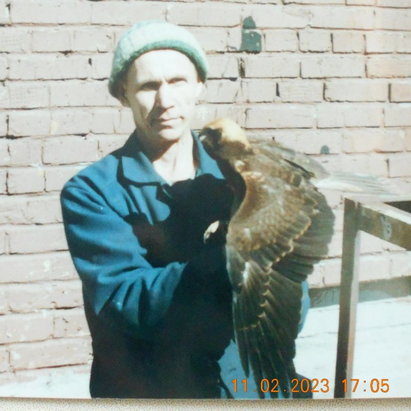 Воспитал ( коршик)