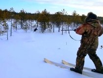 Image description