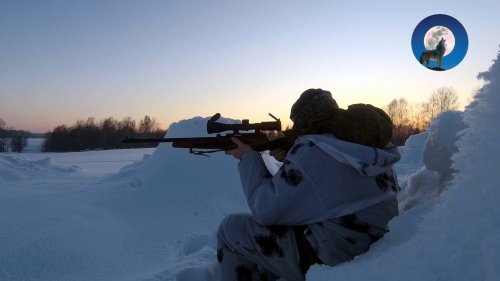 ПРОГУЛКА С СОБОЛЬКОМ ПО ЗАЙЦУ И ЛИСЕ
