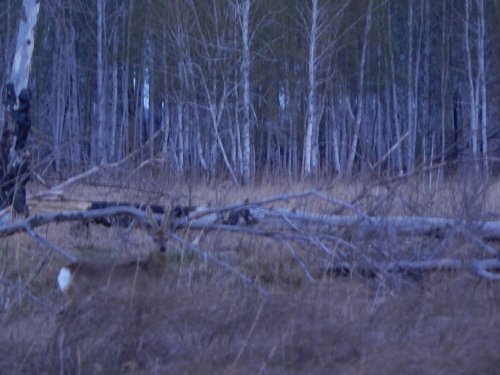 ..Мы не сеем и не пашем...