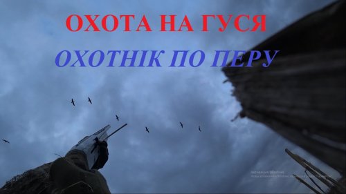 Охота на гуся "Борьба с конкурентами"