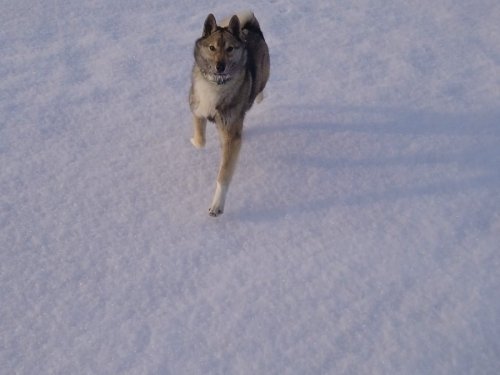 Шума! 5 месяцев
