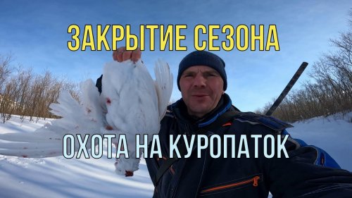 Набил куропаток со снегохода. Самозаряды в деле. Hunting for Willow Grouse with homemade cartridges.