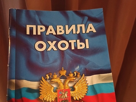 Комитет Совфеда поддержал усиление ответственности для охотников
