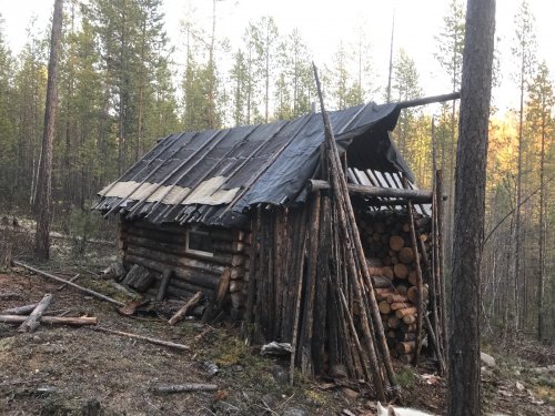 Беспокойный сосед
