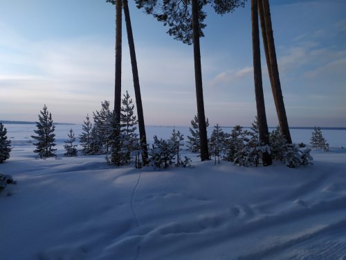глухозимье