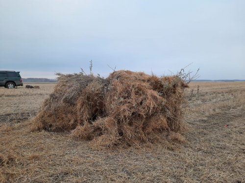 Славный получился скрадок